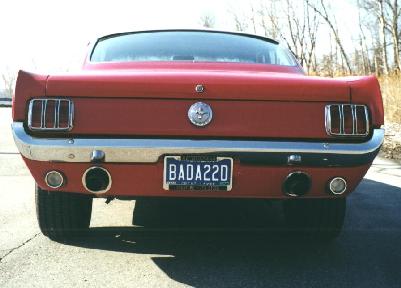 Mustang4.jpg (19197 bytes)