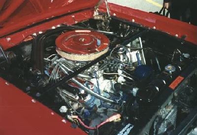 Mustang5.jpg (24225 bytes)